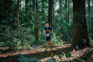 BIB: 
                            <button type="button" onclick="openModal(26130549)" class="btn btn-primary btn-sm float-right btn-popup" data-toggle="modal" data-target=".modal-high-quality">
                        <i class="fas fa-shopping-cart"></i> Add to Cart
                    </button>
                                            <button type="button" onclick="isThisMe(26130549, true)" class="btn btn-success btn-sm float-right btn-popup btn-isme hidden" data-toggle="tooltip" data-placement="bottom" title="นี่คือรูปของคุณใช่ไหม คลิกที่นี่เพื่อเอาเข้าอัลบั้ม">
                        <i class="fas fa-plus"></i> Add to album
                    </button>
                    <button type="button" onclick="isThisMe(26130549, false)" class="btn btn-warning btn-sm float-right btn-popup btn-isnotme hidden">
                        <i class="fas fa-ban"></i> Remove from album
                    </button>